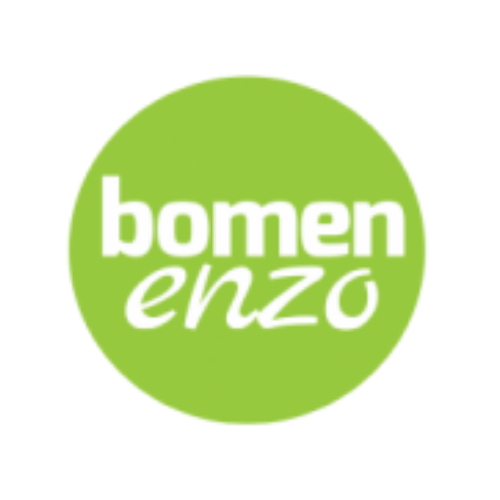 Bomenenzo